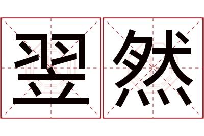 翌名字意思|翌的意思